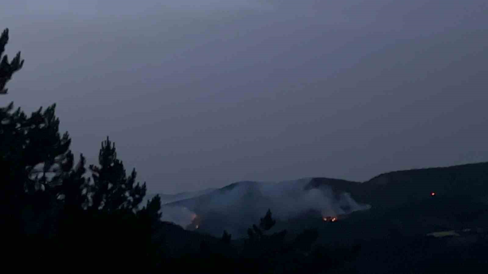 Kastamonu’da düşen yıldırım orman yangınlarına sebep oldu
