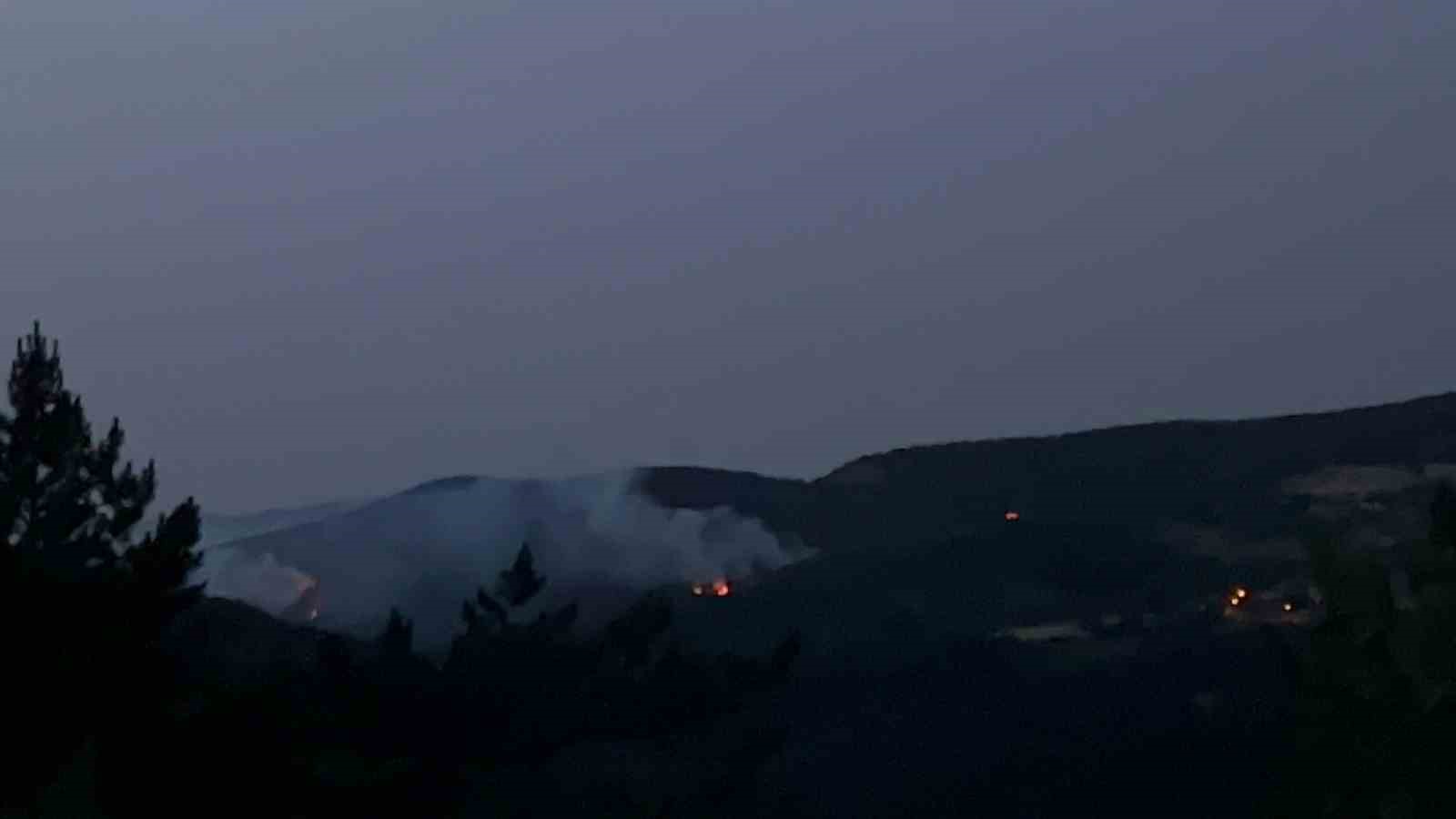 Kastamonu’da düşen yıldırım orman yangınlarına sebep oldu
