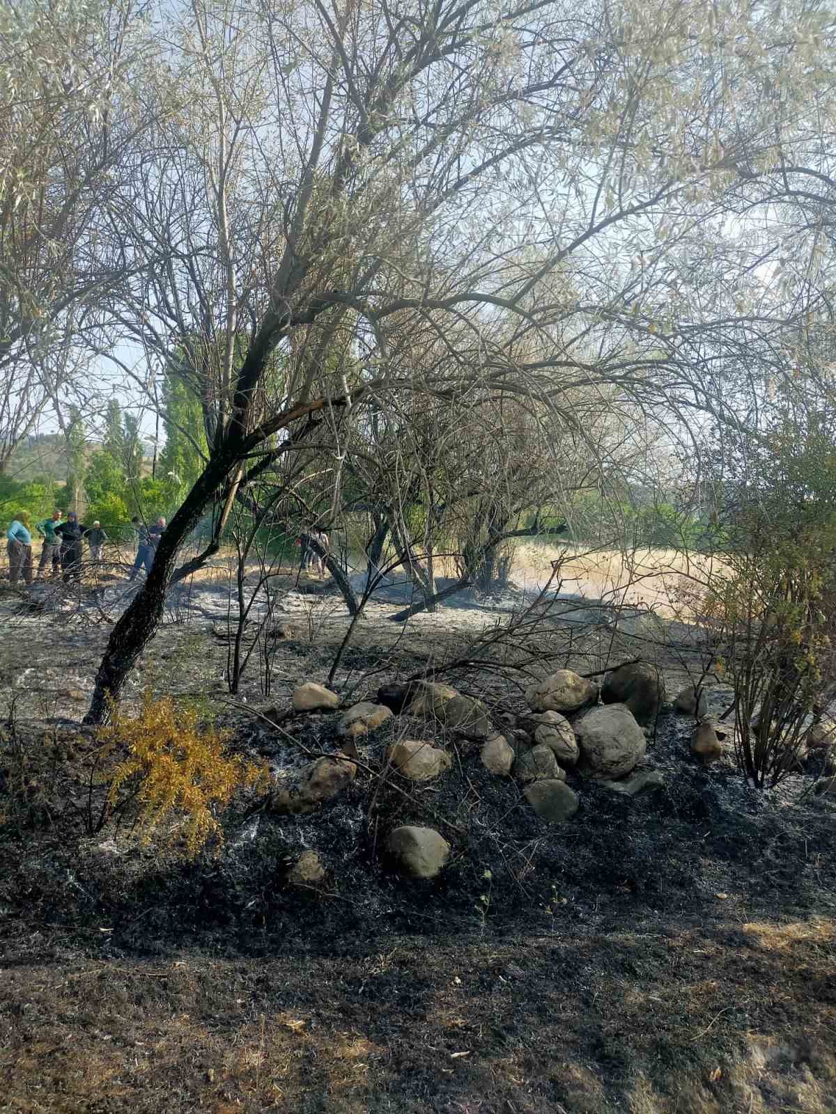 Osmancık’taki örtü yangınında ağaçlar zarar gördü
