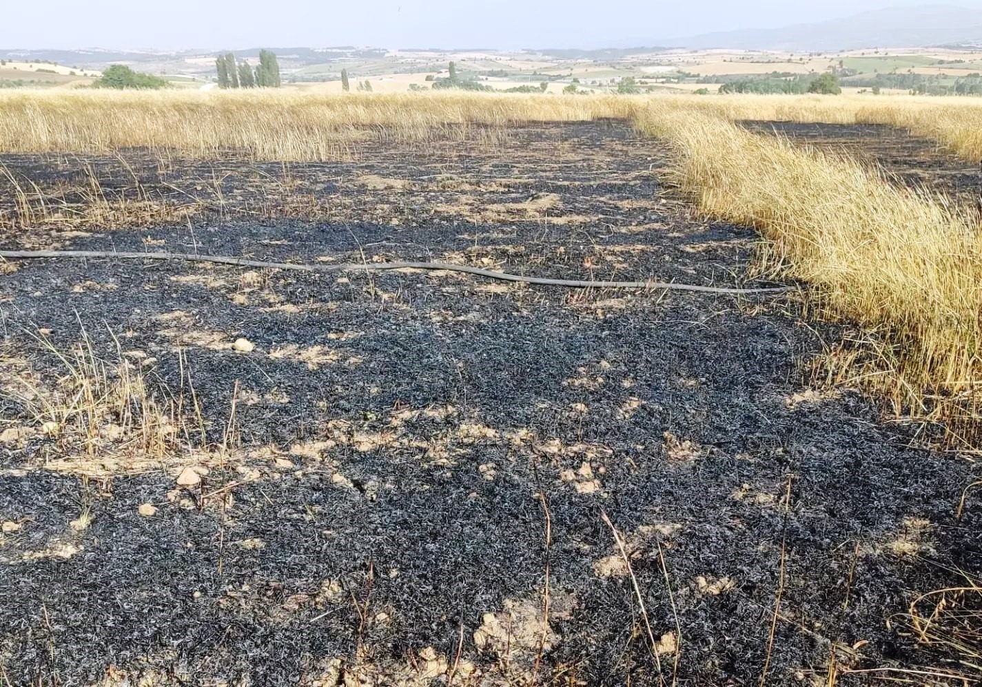 Dumlupınar’da tarım arazisindeki yangın büyümeden söndürüldü
