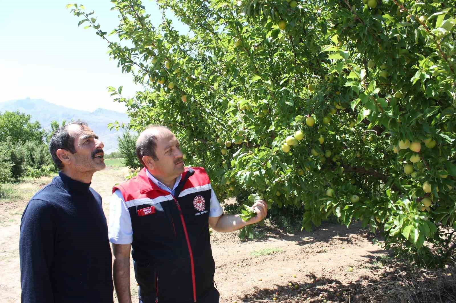 Erzincan’da bahçelere mavi bayrak
