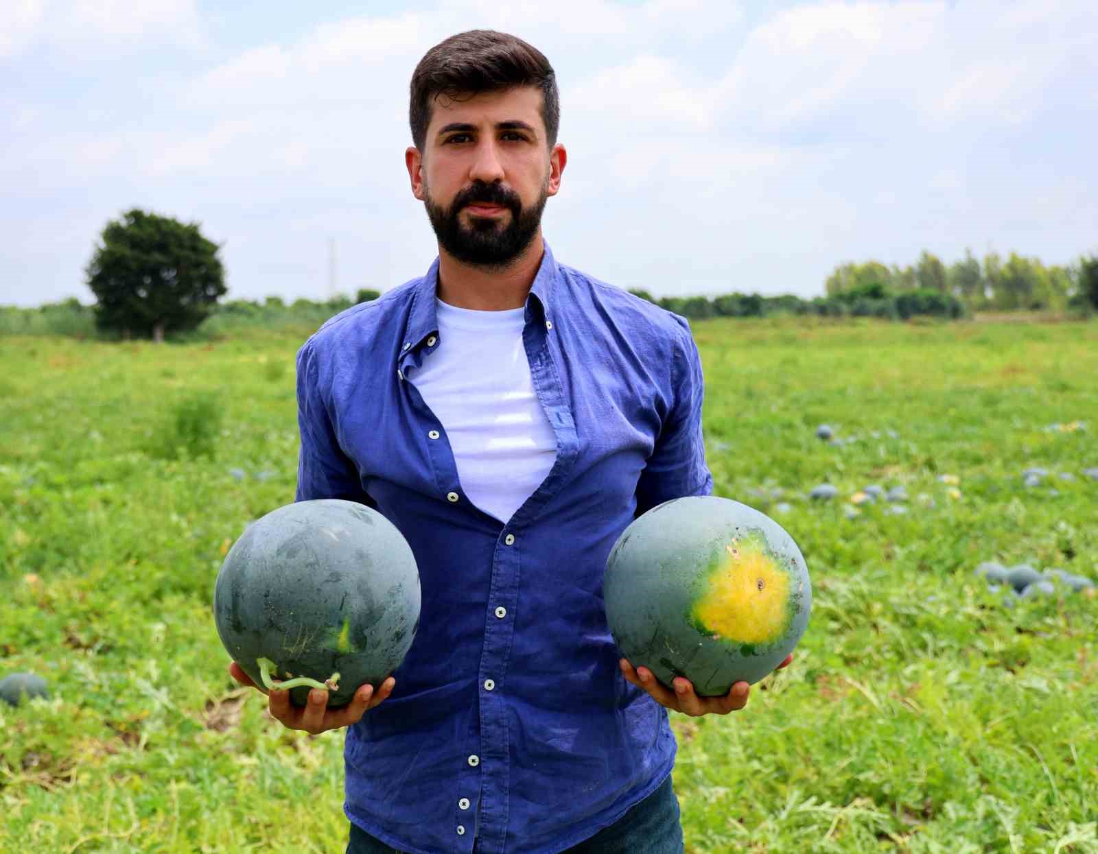 Adana’nın çekirdeksiz karpuzu Avrupa sofralarını süslüyor
