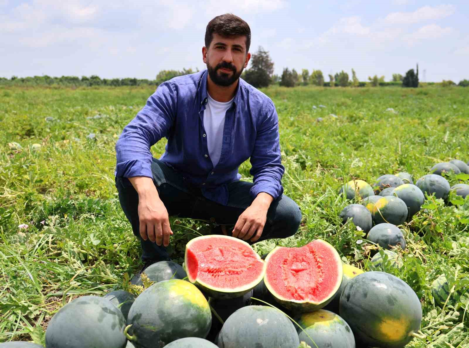 Adana’nın çekirdeksiz karpuzu Avrupa sofralarını süslüyor
