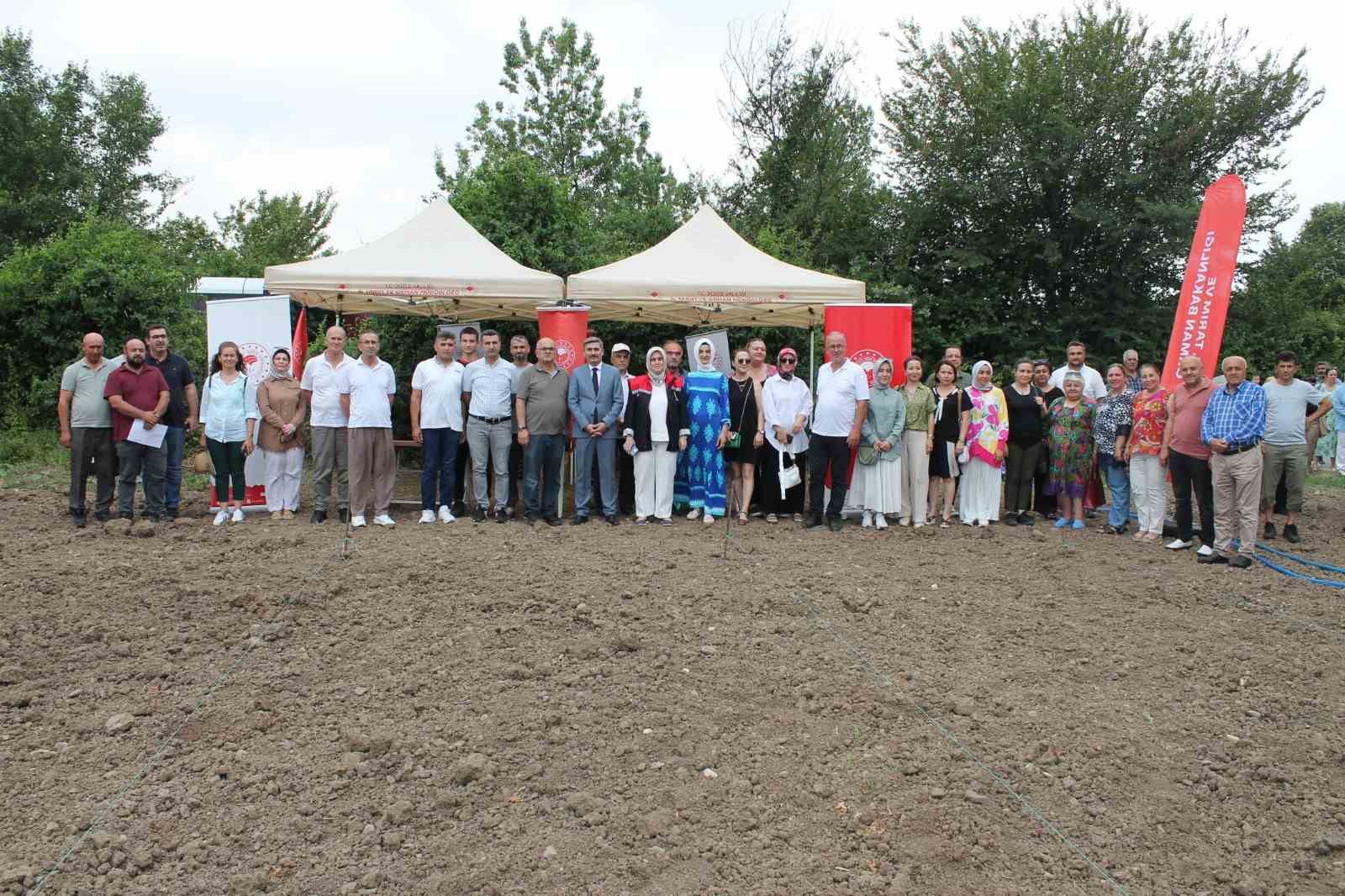 Düzceli kadın çiftçiler tarımsal yeniliklerle buluşuyor
