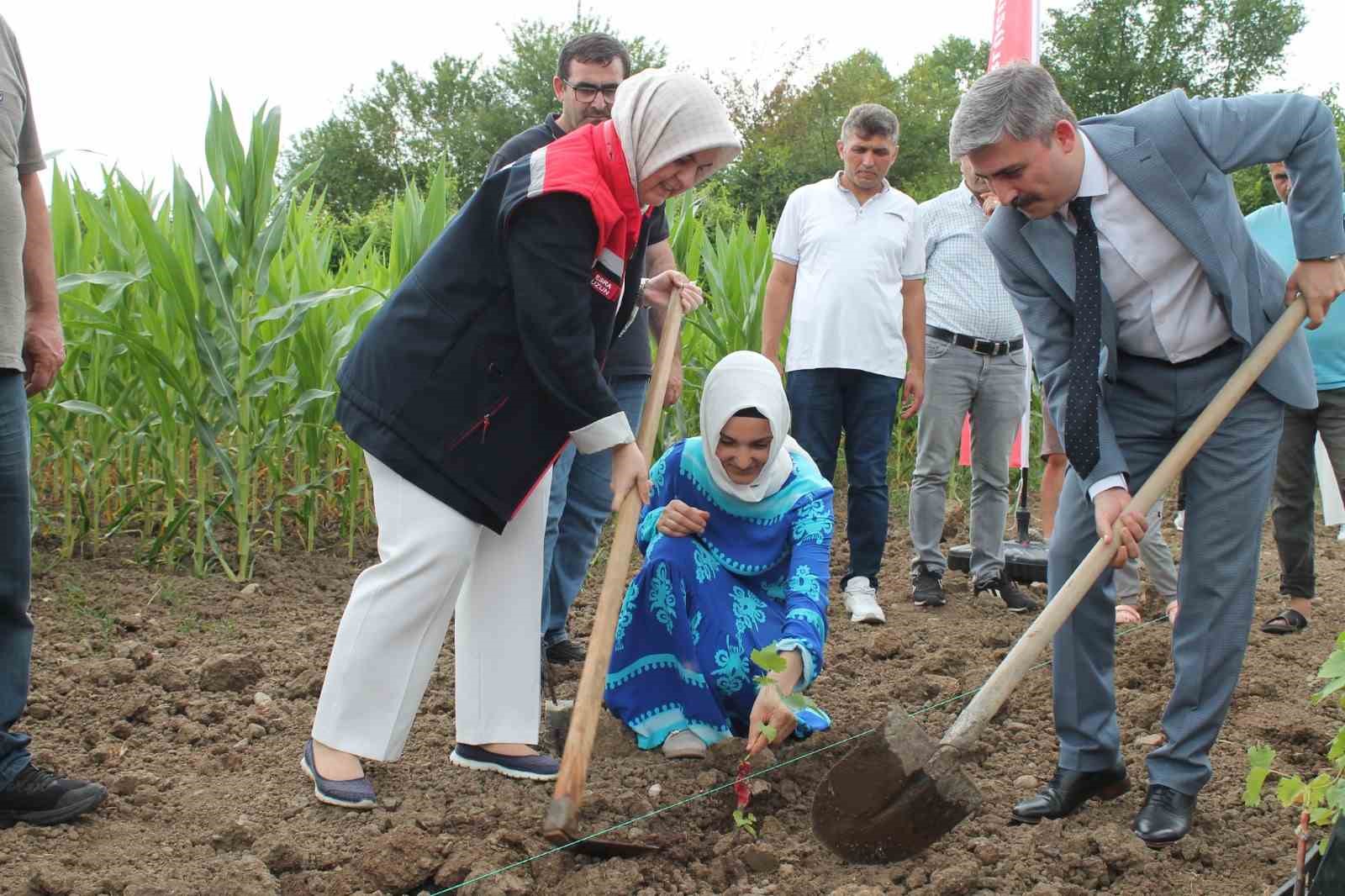 Düzceli kadın çiftçiler tarımsal yeniliklerle buluşuyor
