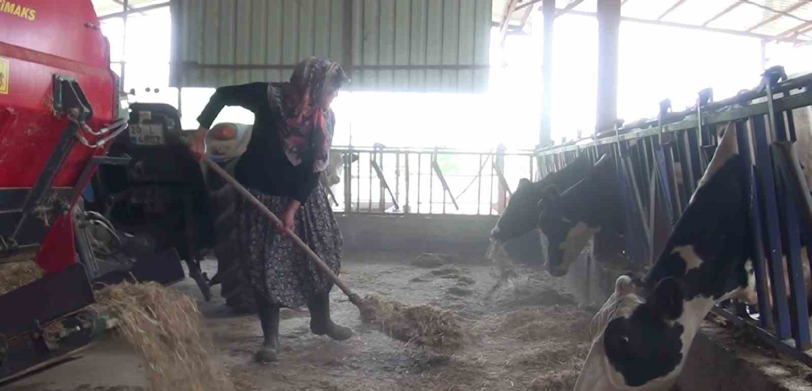 Kadın yetiştirici aldığı tarım destekleriyle aile işletmesini büyüttü
