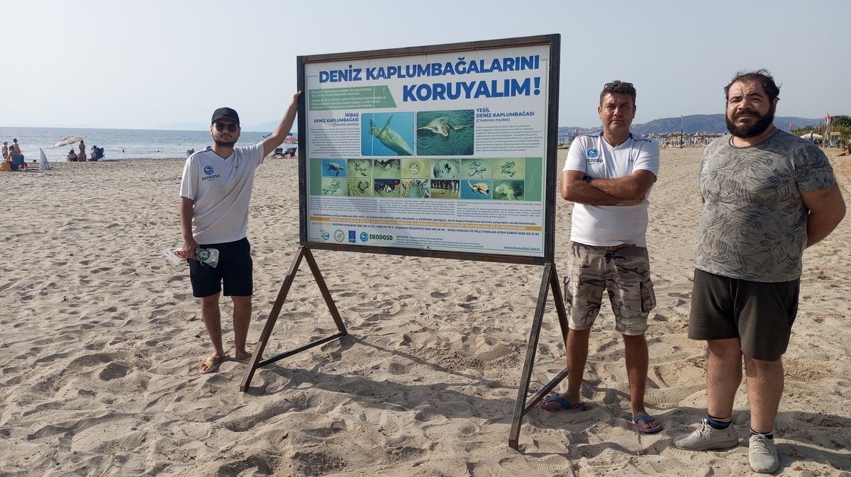 Caretta carettalar Kuşadası’nda 3 ayrı noktaya yumurta bıraktı
