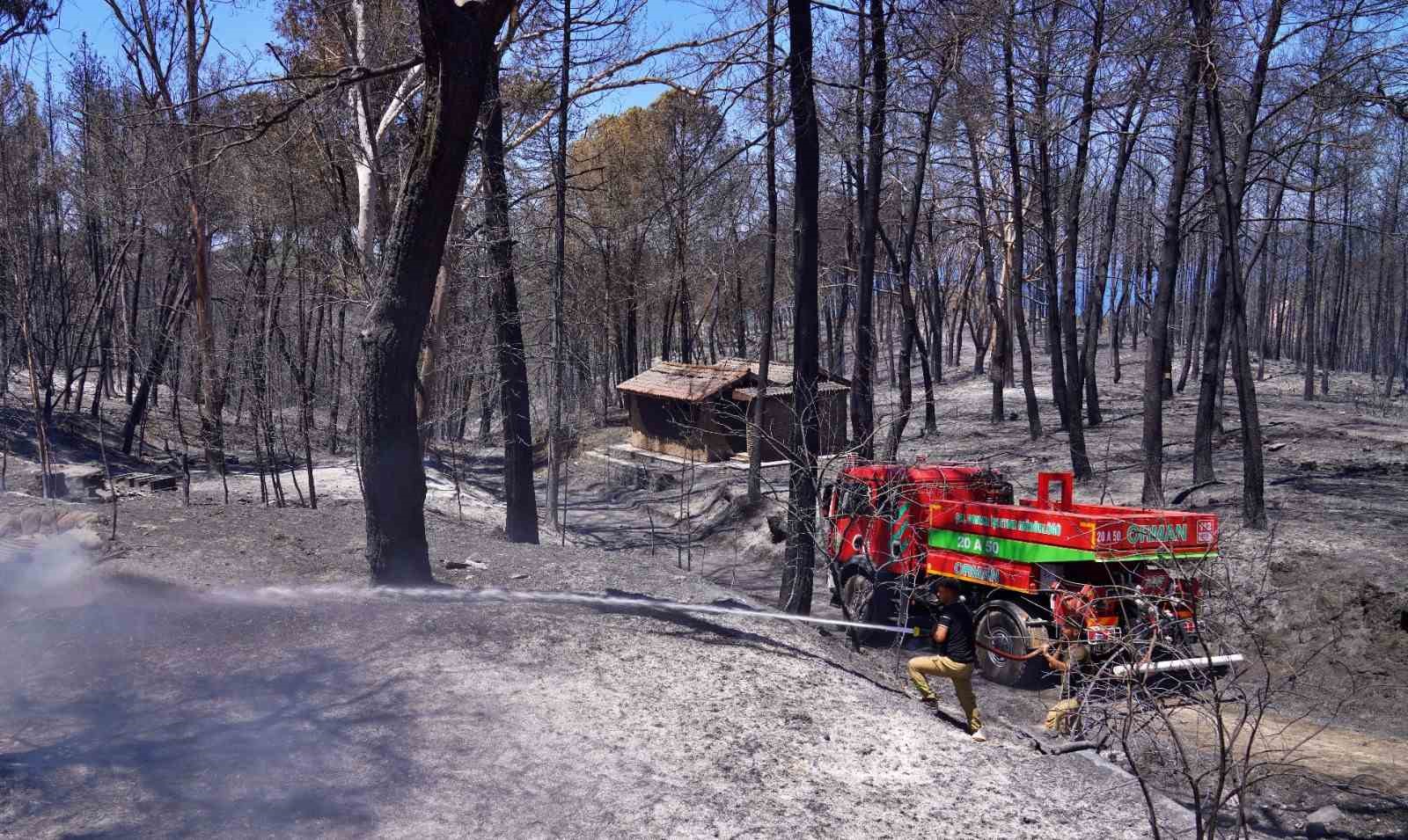 İzmir’in ateş savaşçıları ağaçlar için nöbette
