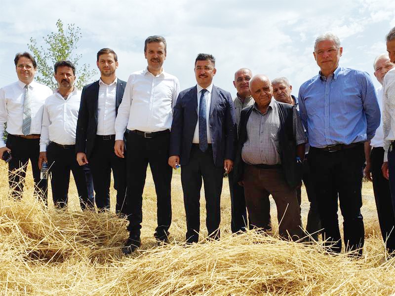 Mudanya’da hasat zamanı
