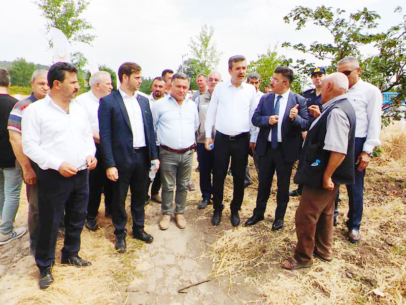 Mudanya’da hasat zamanı
