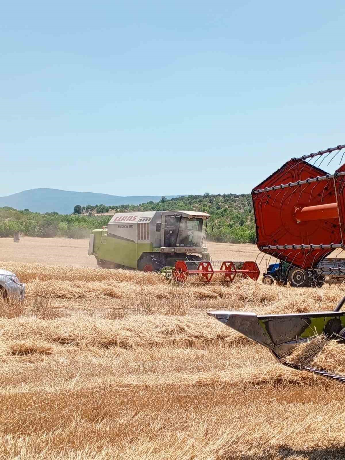 Hububat hasadı ile biçerdöver kontrolleri devam ediyor
