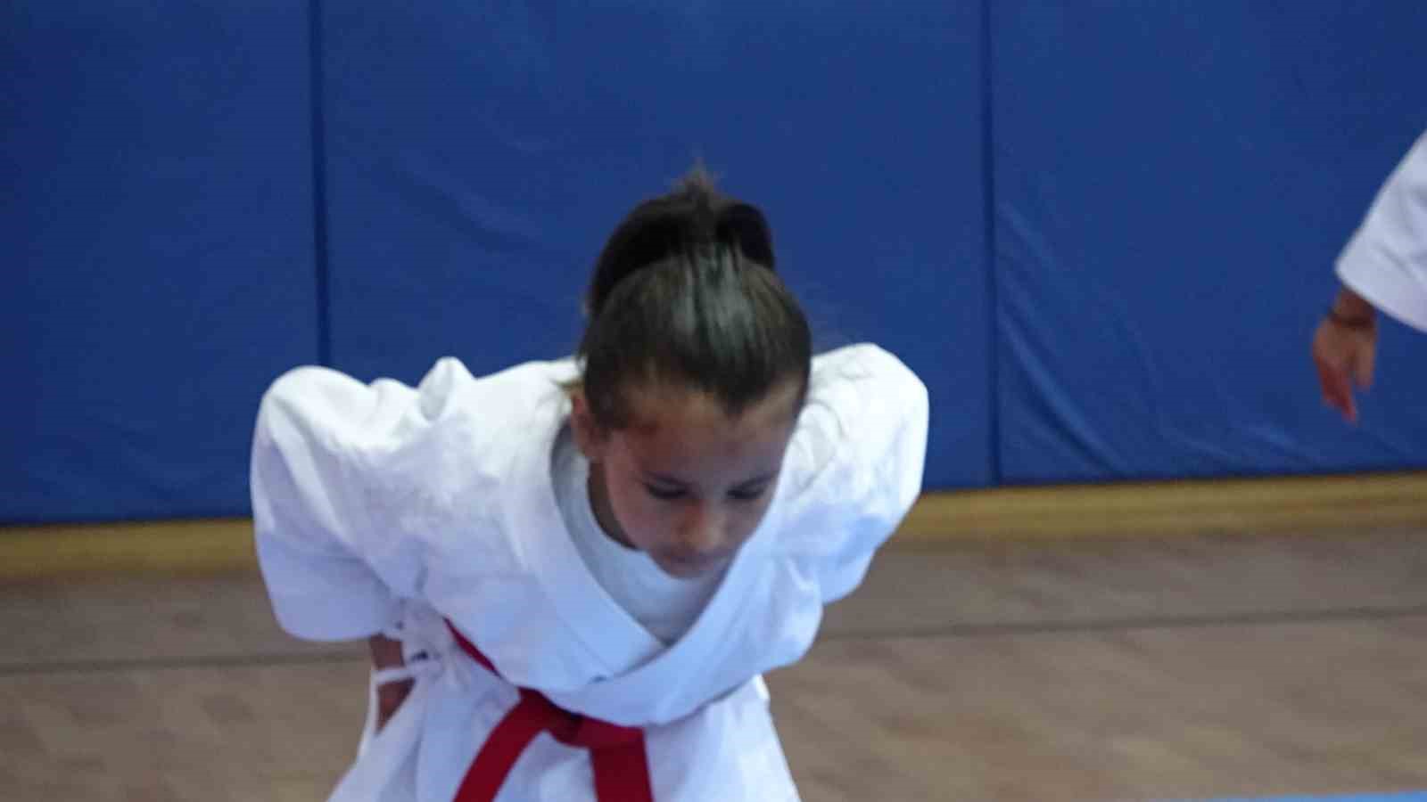 Tavşanlı büyük bir karate organizasyonuna hazırlanıyor
