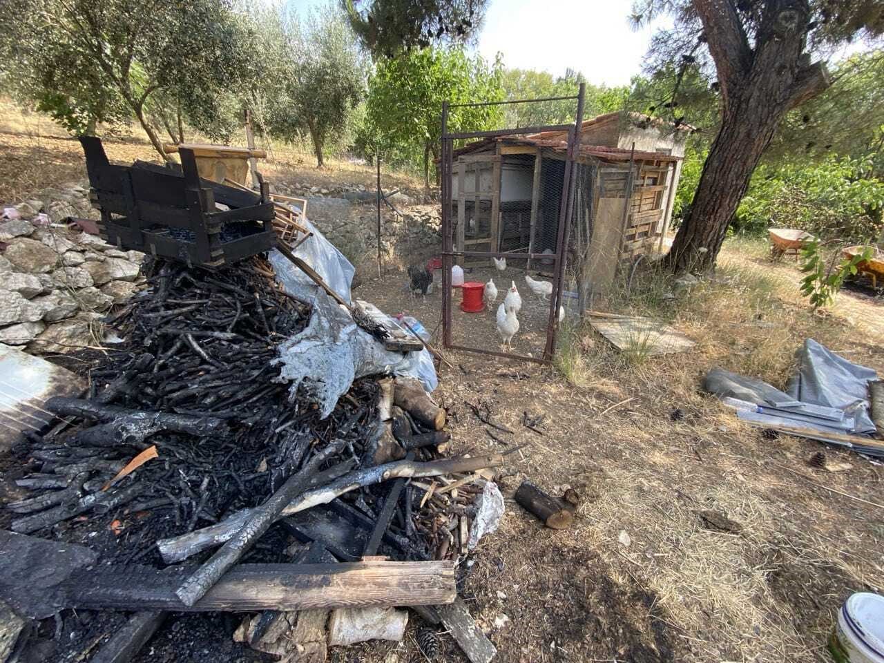 İzmir’deki orman yangının boyutu gün ağarınca ortaya çıktı
