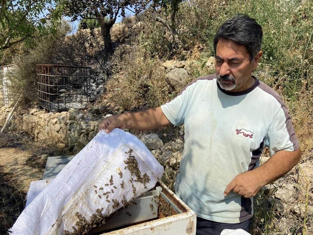 İzmir’deki orman yangının boyutu gün ağarınca ortaya çıktı
