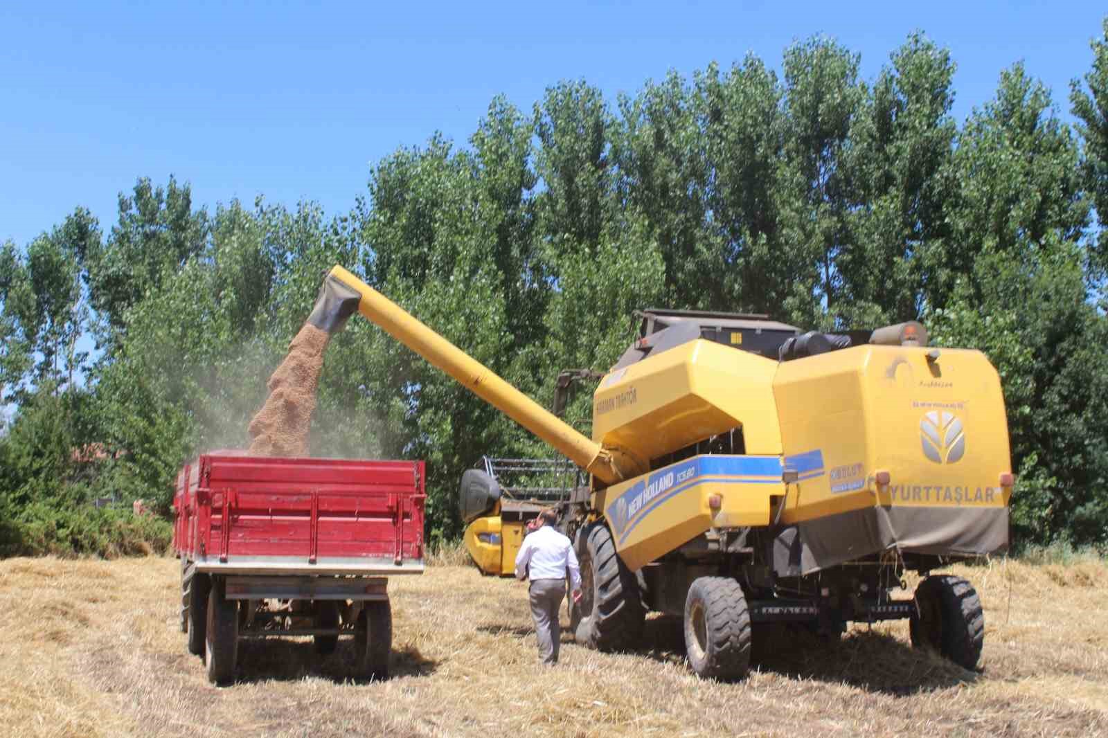 Yerli tohum ’Taner’ Pazar’da çiftçilerin umudu oldu
