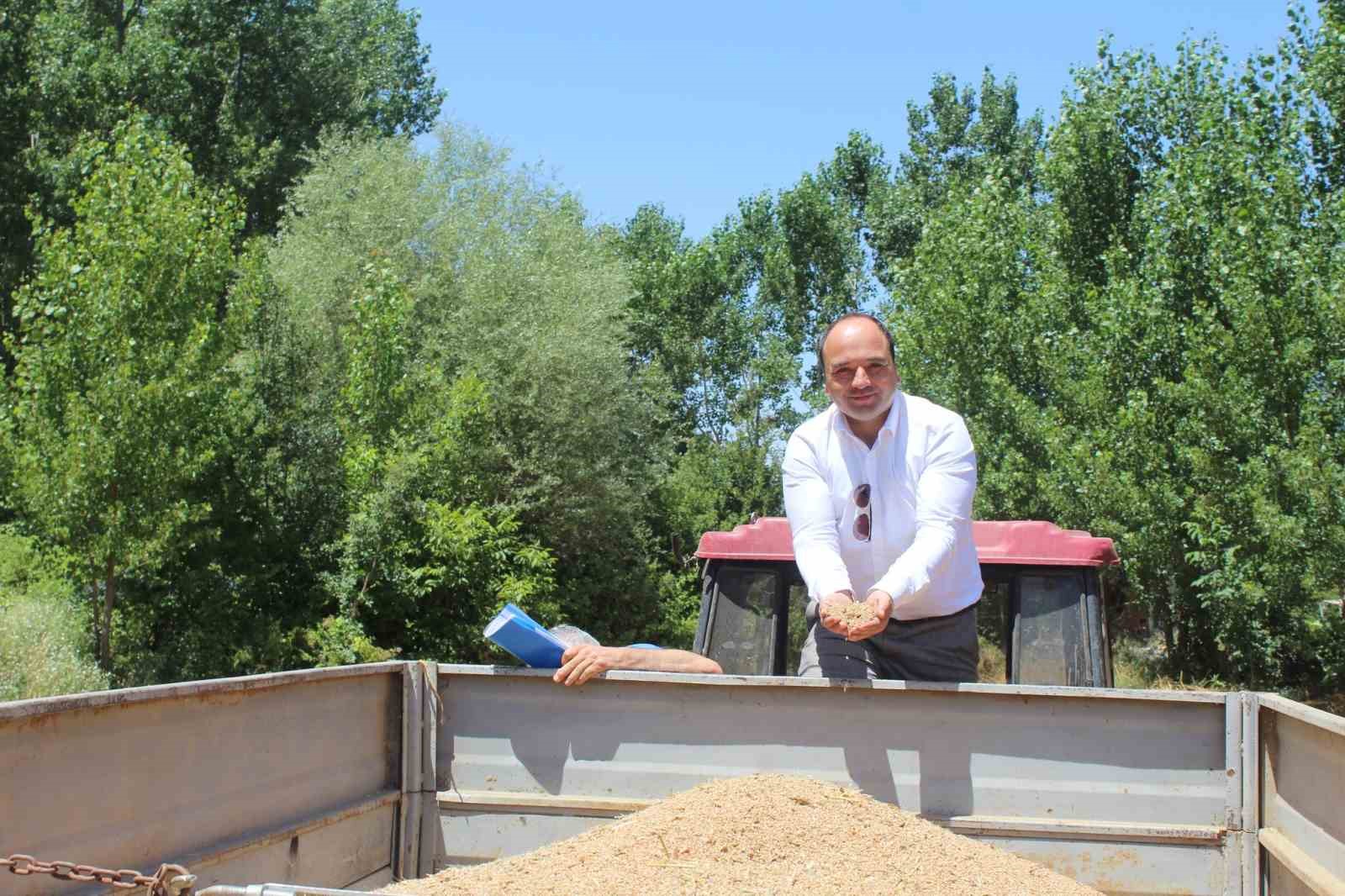 Yerli tohum ’Taner’ Pazar’da çiftçilerin umudu oldu
