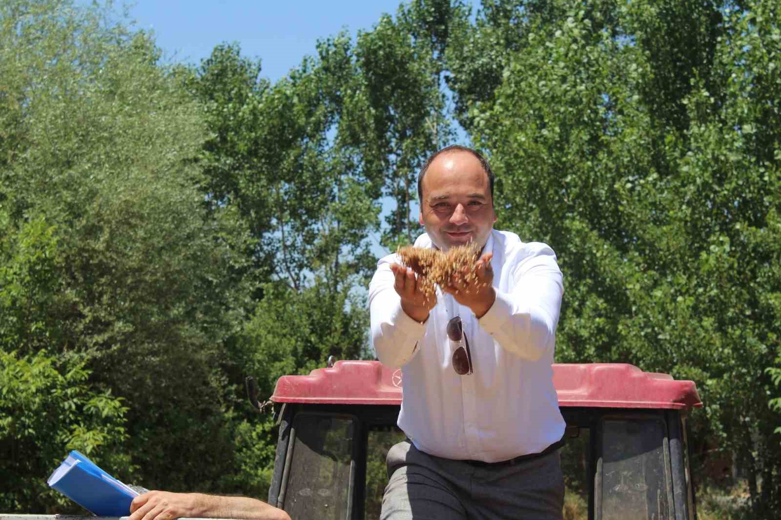 Yerli tohum ’Taner’ Pazar’da çiftçilerin umudu oldu
