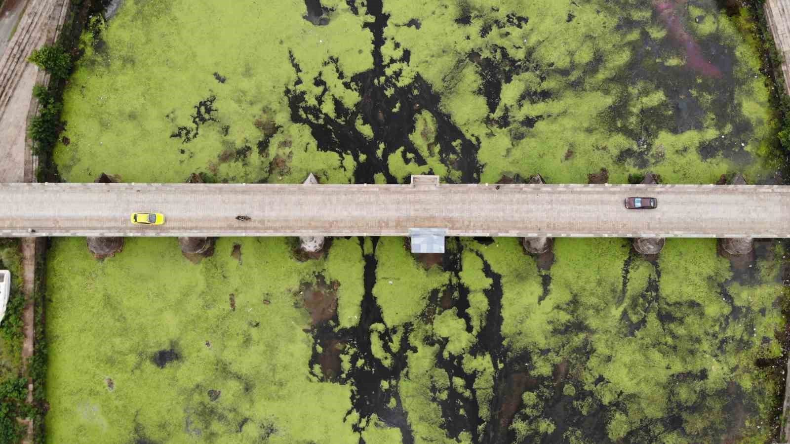 Su akışı durdu, Tunca Nehri yeşile döndü
