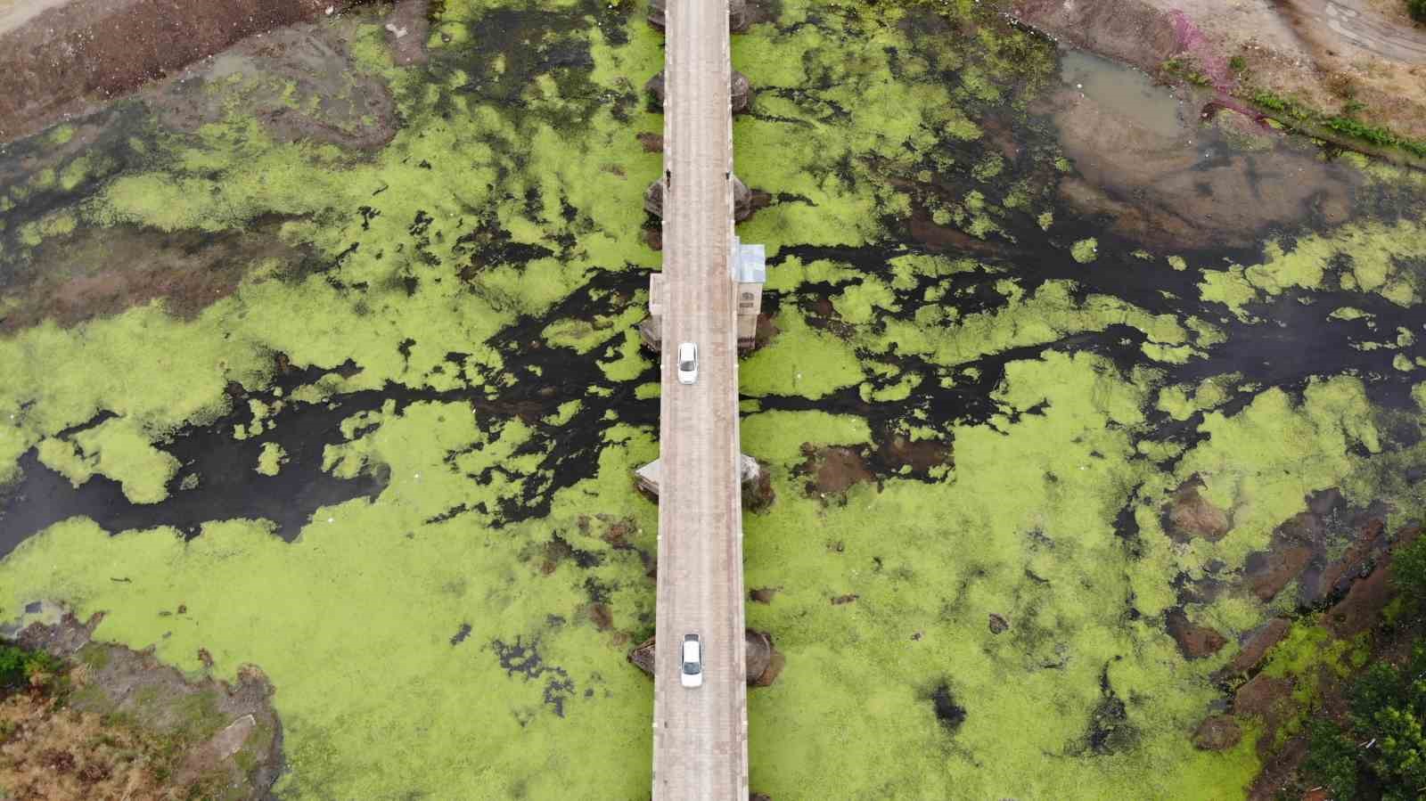 Su akışı durdu, Tunca Nehri yeşile döndü
