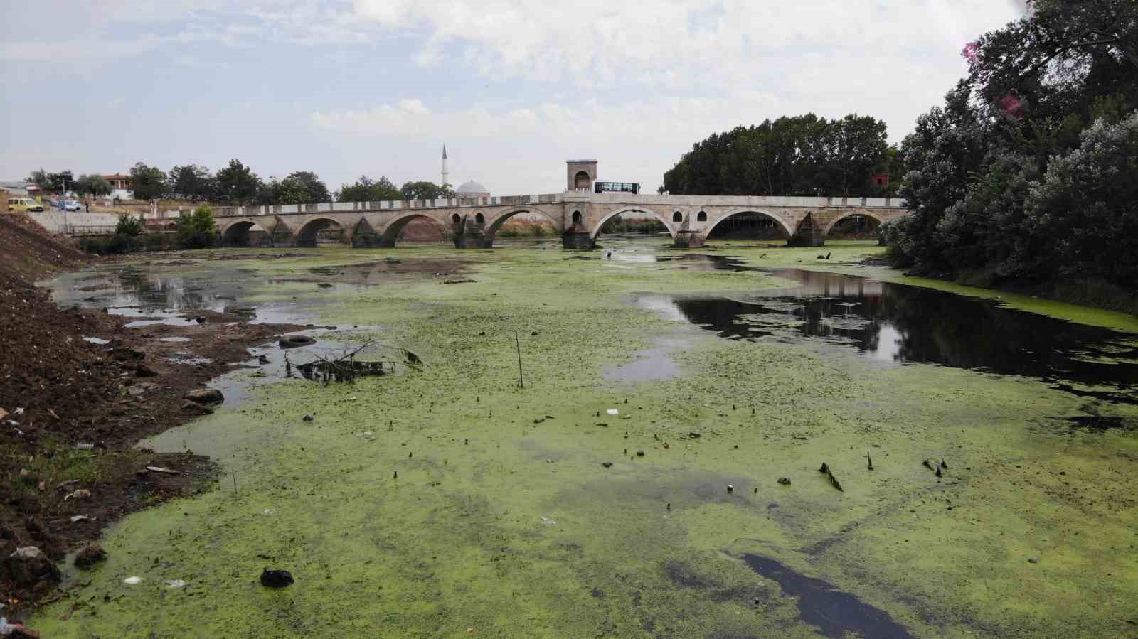 Su akışı durdu, Tunca Nehri yeşile döndü
