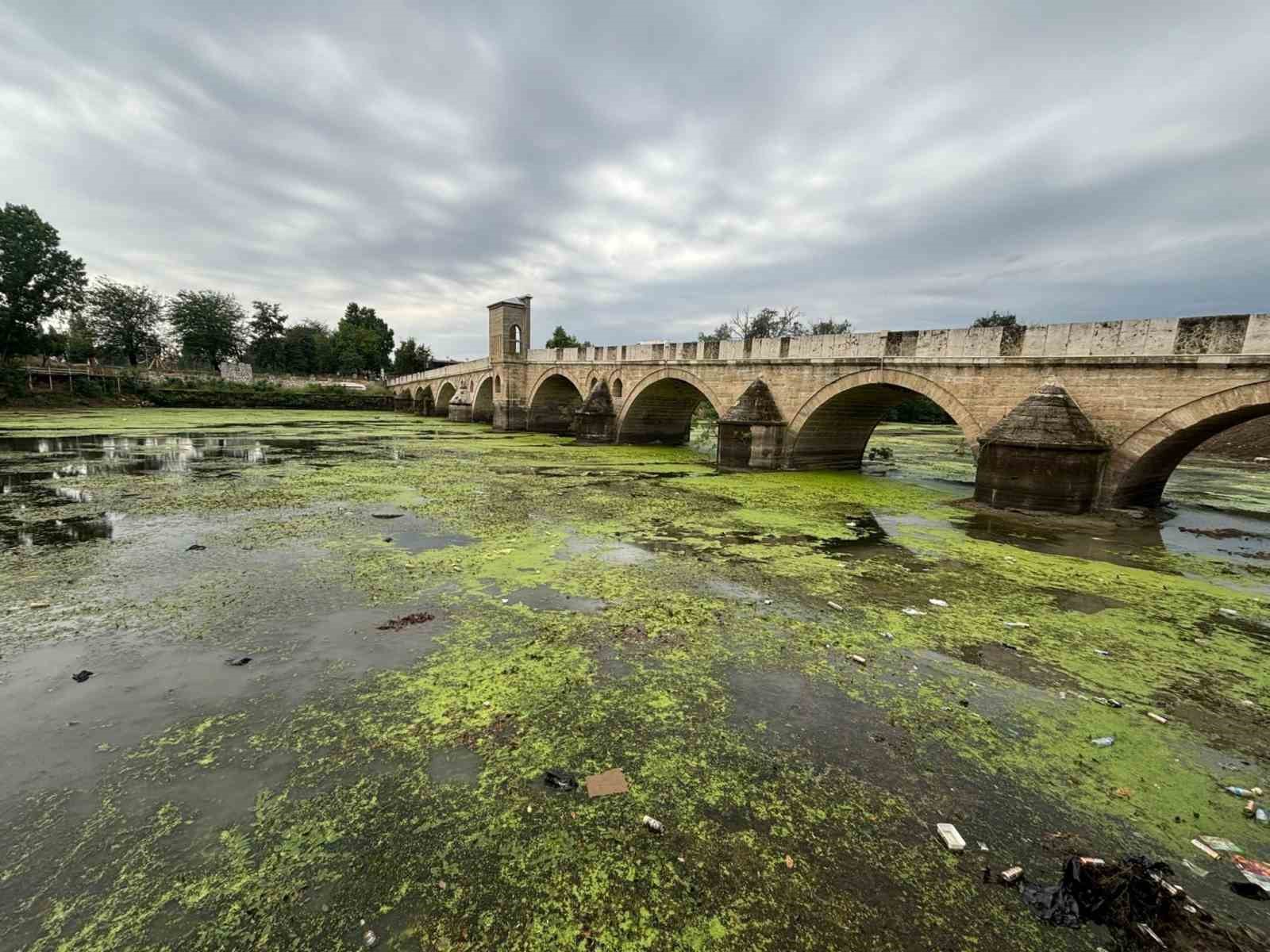 Su akışı durdu, Tunca Nehri yeşile döndü
