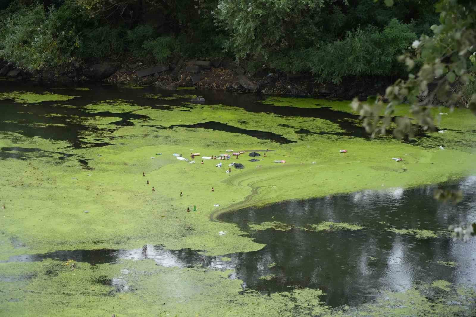 Su akışı durdu, Tunca Nehri yeşile döndü
