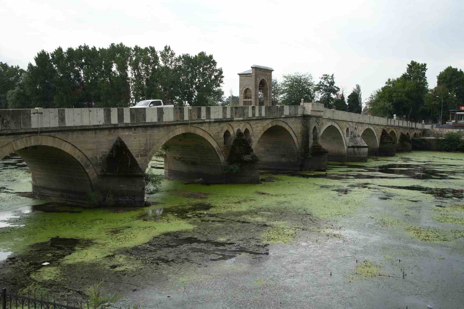 Su akışı durdu, Tunca Nehri yeşile döndü
