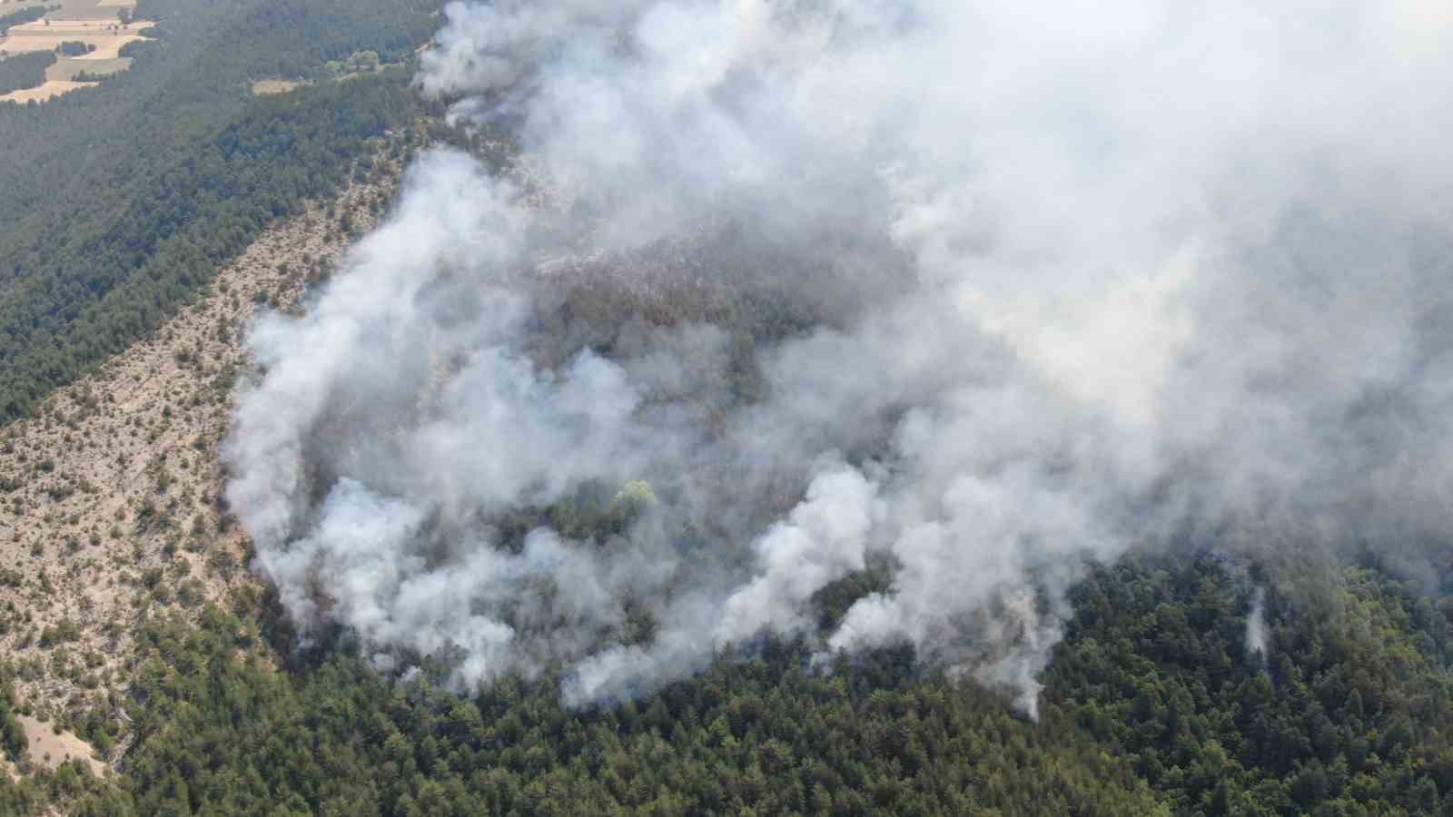 Kastamonu’daki orman yangını sürüyor: Havadan görüntülendi
