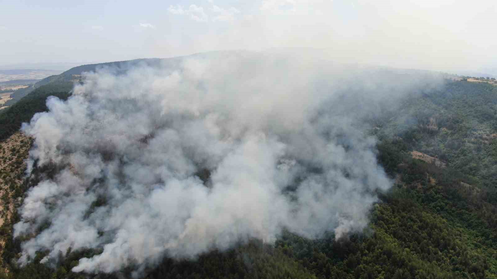 Kastamonu’daki orman yangını sürüyor: Havadan görüntülendi
