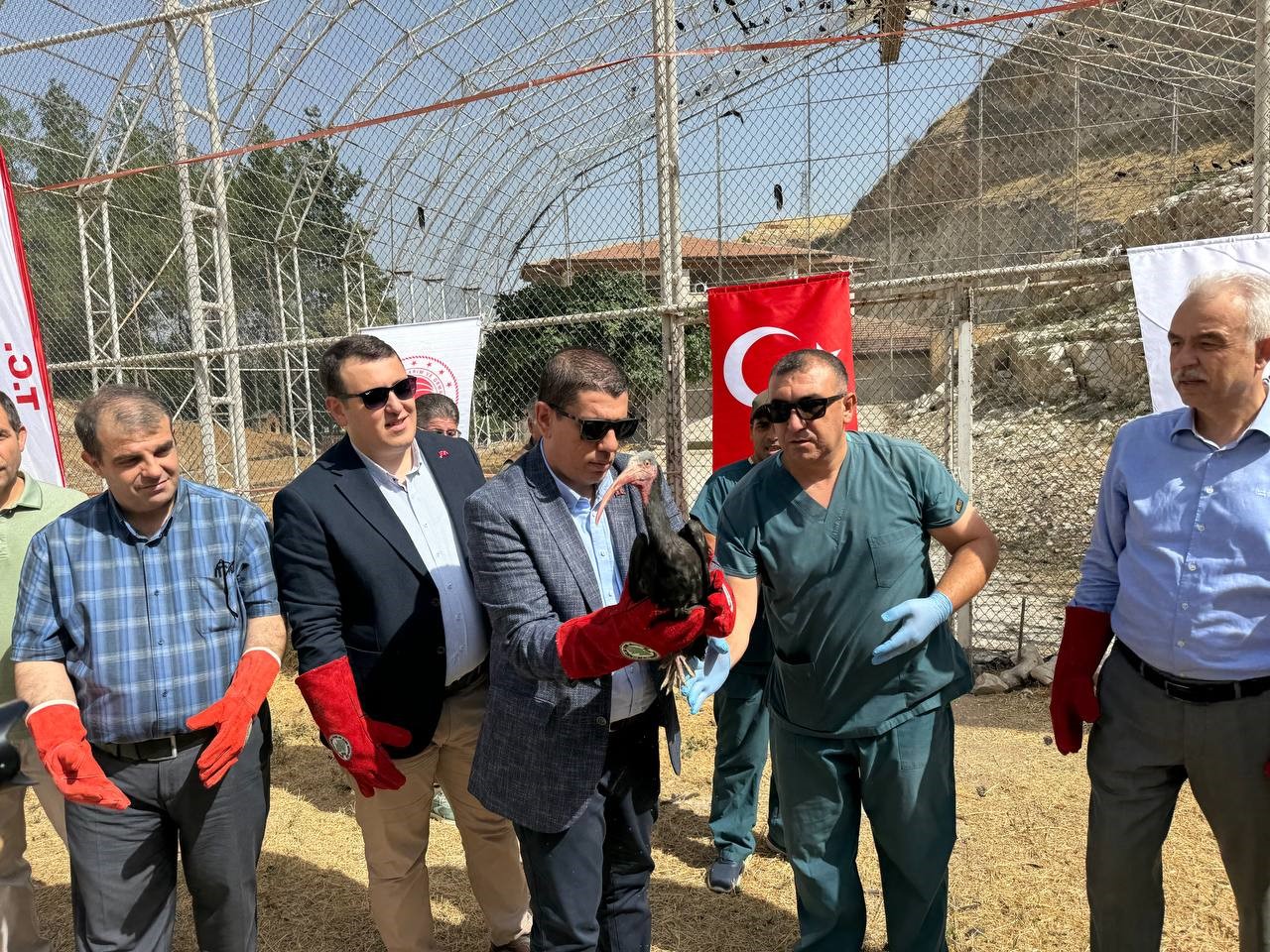 Şanlıurfa’da 30 kelaynak kuşu göç yoluna bırakıldı
