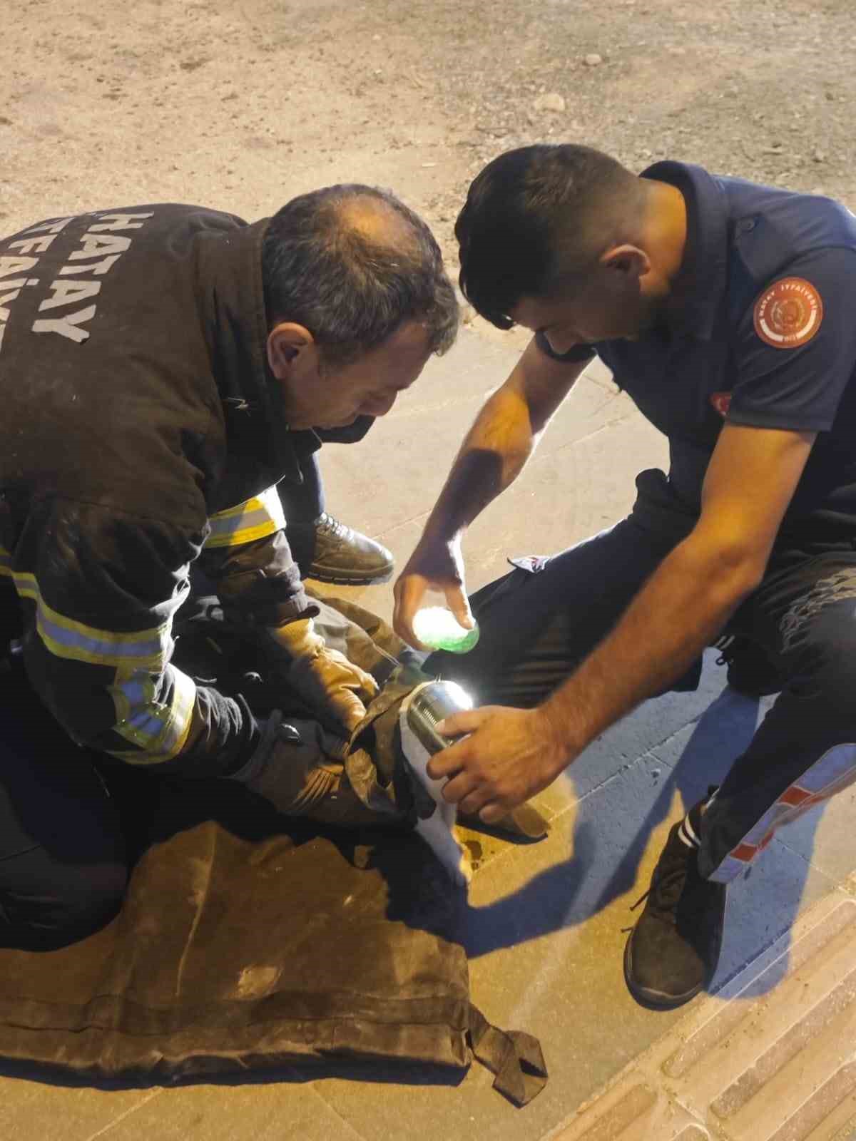 Kafasını konserve kutusuna sıkıştıran kedinin yardımına itfaiye yetişti
