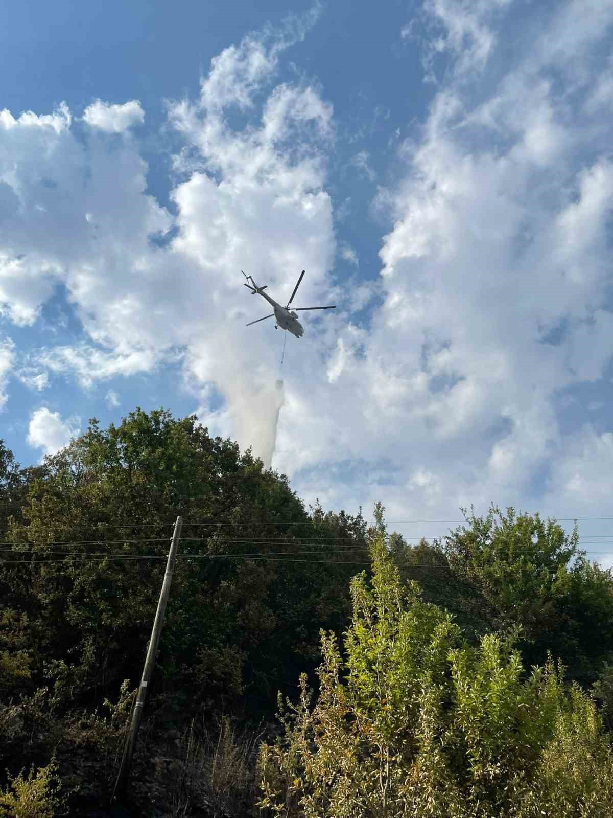 Kastamonu’da bir orman yangını daha çıktı
