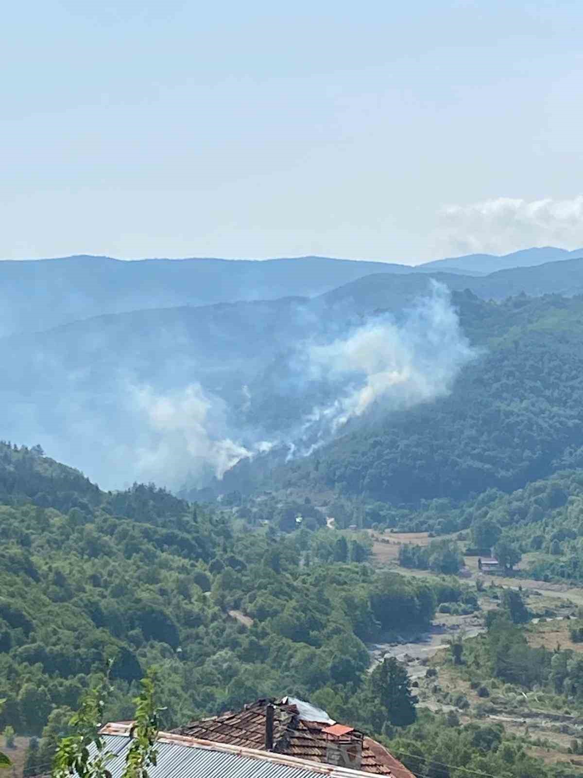 Kastamonu’da bir orman yangını daha çıktı
