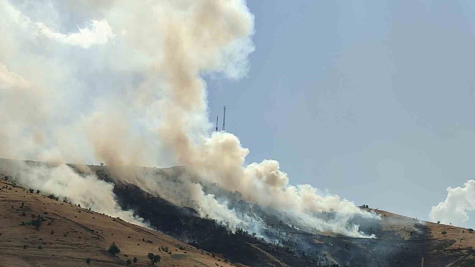 Muş’ta çıkan örtü yangını kontrol altına alındı
