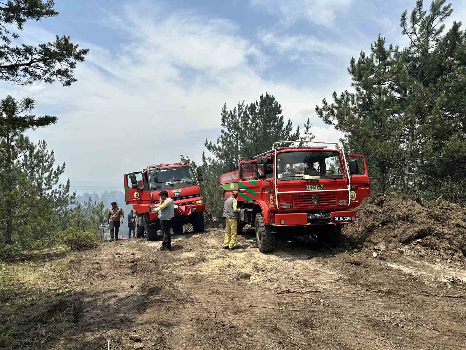 Kastamonu’daki orman yangınları kontrol altına alındı
