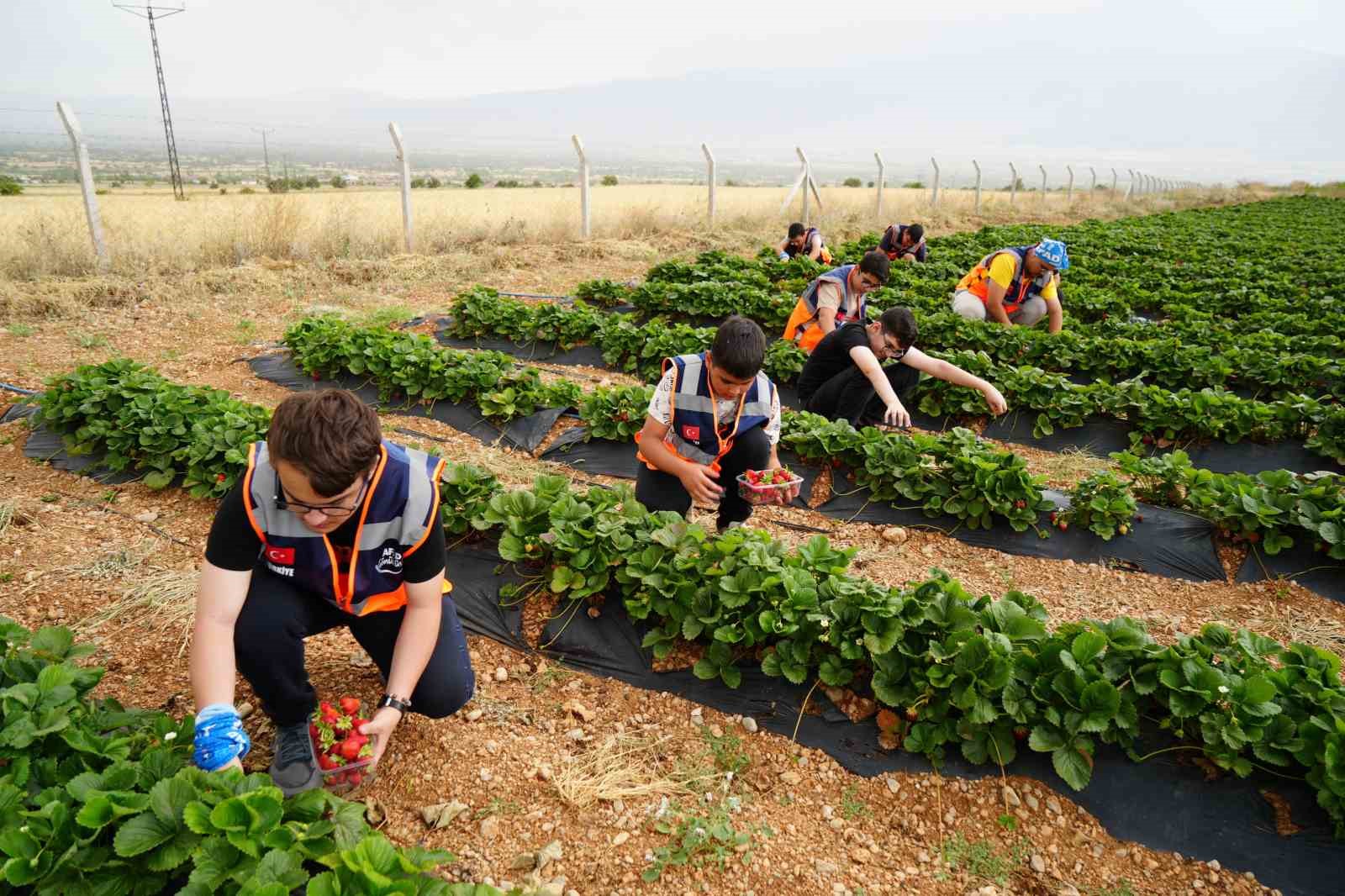 Erzincan’da ’Köyümde Üç Gün’ projesiyle lise öğrencileri teknolojiden uzak köy hayatını deneyimliyor
