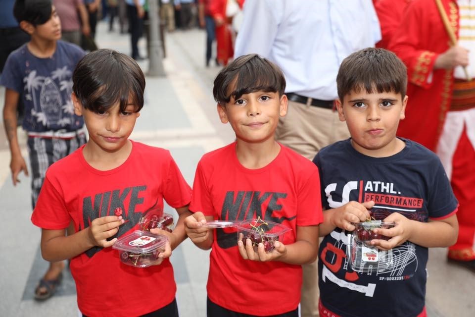 Festival coşkusu: 1 ton kiraz dağıtılacak
