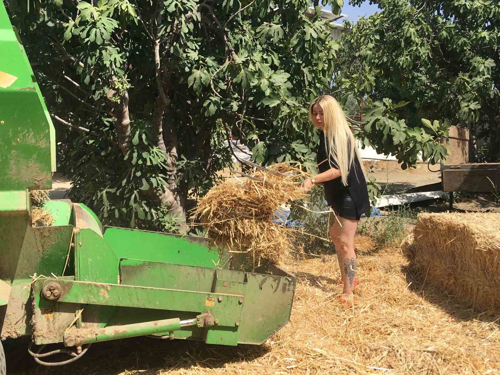 Gazeteciliği bıraktı ’hastalıktan ari’ çiftlik kurdu
