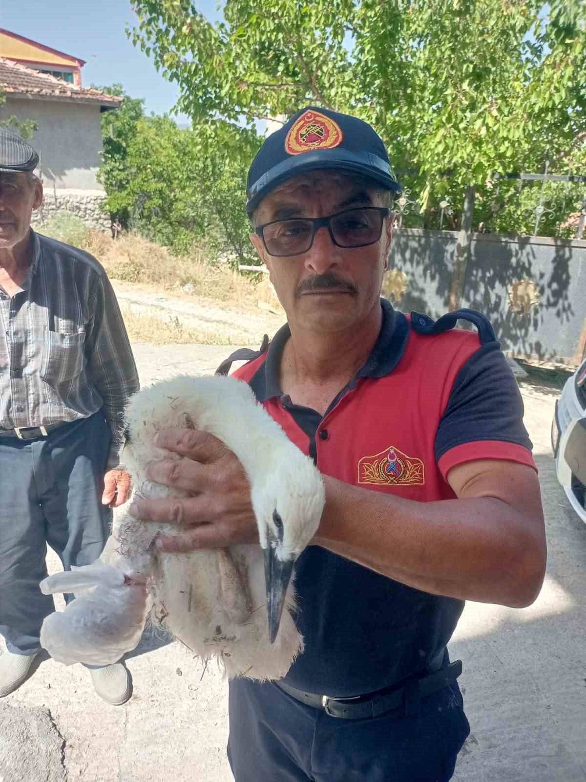 Tokat’ta bulduğu yaralı yavru leyleği İstanbul’daki evinde besliyor
