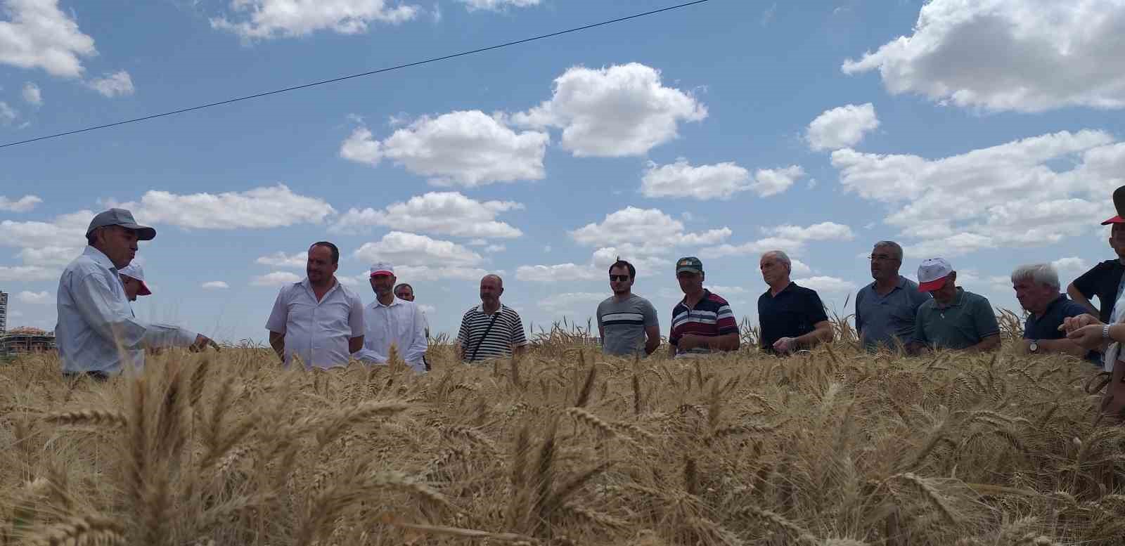 ’Çeşidin doğru verimin bol olsun’ projesi gerçekleşti
