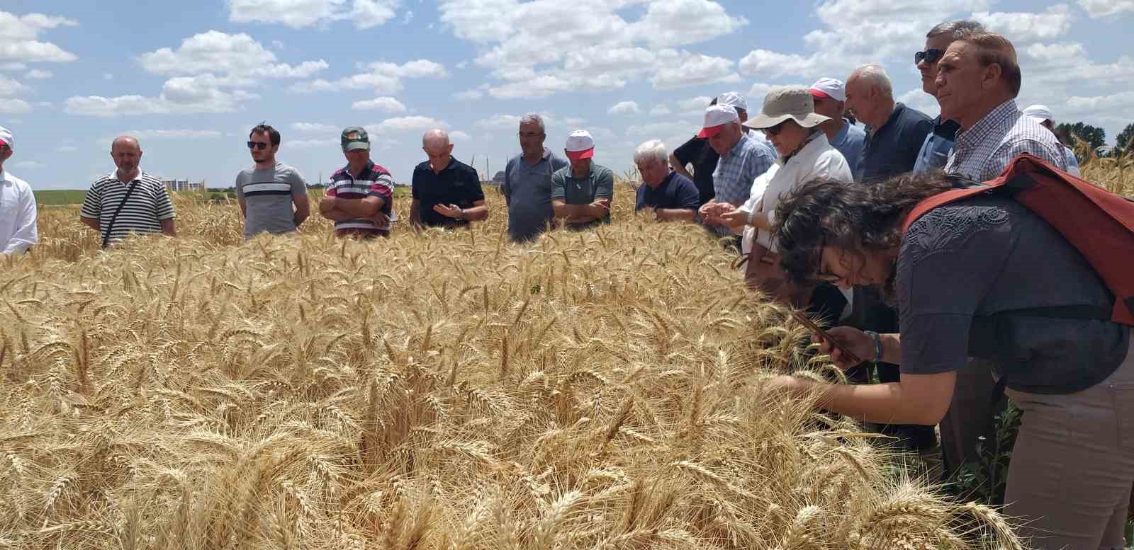 ’Çeşidin doğru verimin bol olsun’ projesi gerçekleşti
