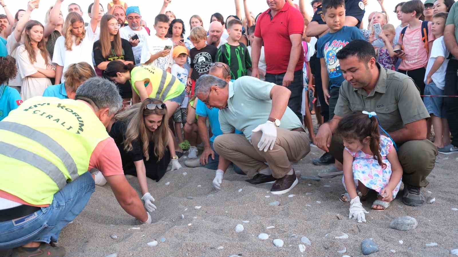 Kemer’de son 30 yılın yavrulu caretta caretta rekoru bekleniyor
