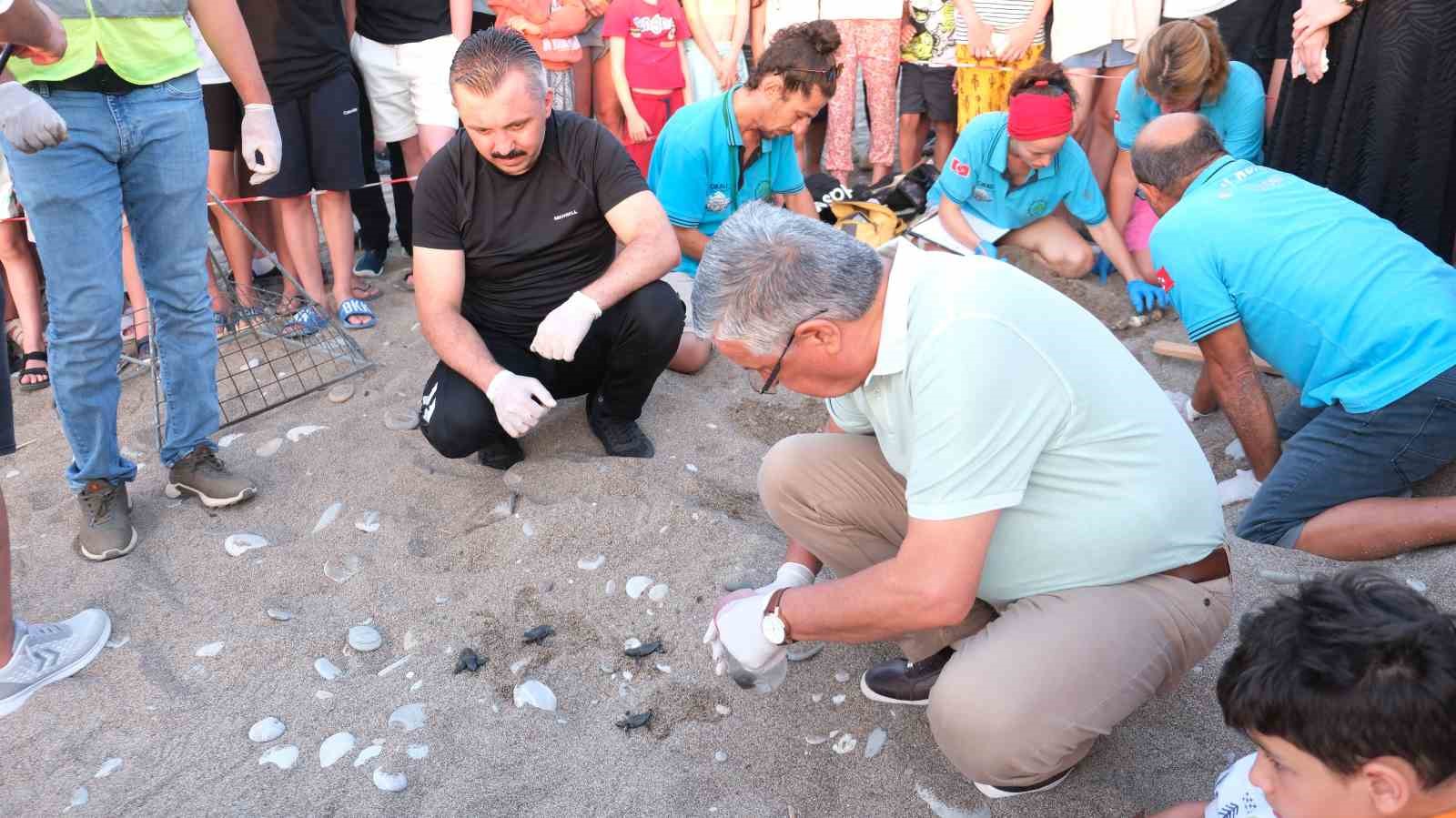 Kemer’de son 30 yılın yavrulu caretta caretta rekoru bekleniyor
