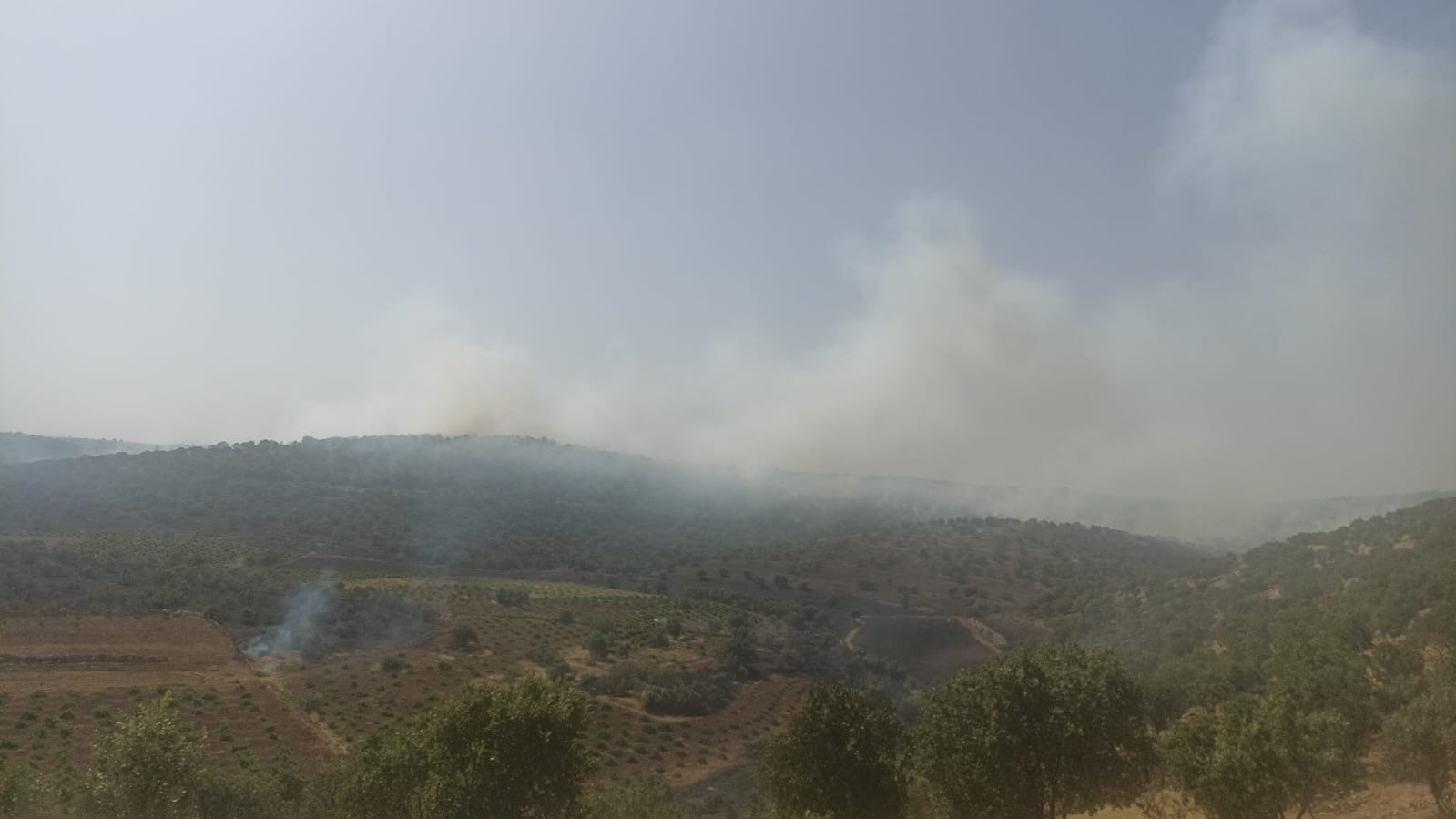 Mardin’de 5 ayrı noktada çıkan yangın devam ediyor
