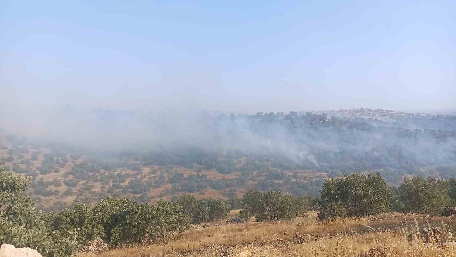 Mardin’de 5 ayrı noktada çıkan yangın devam ediyor
