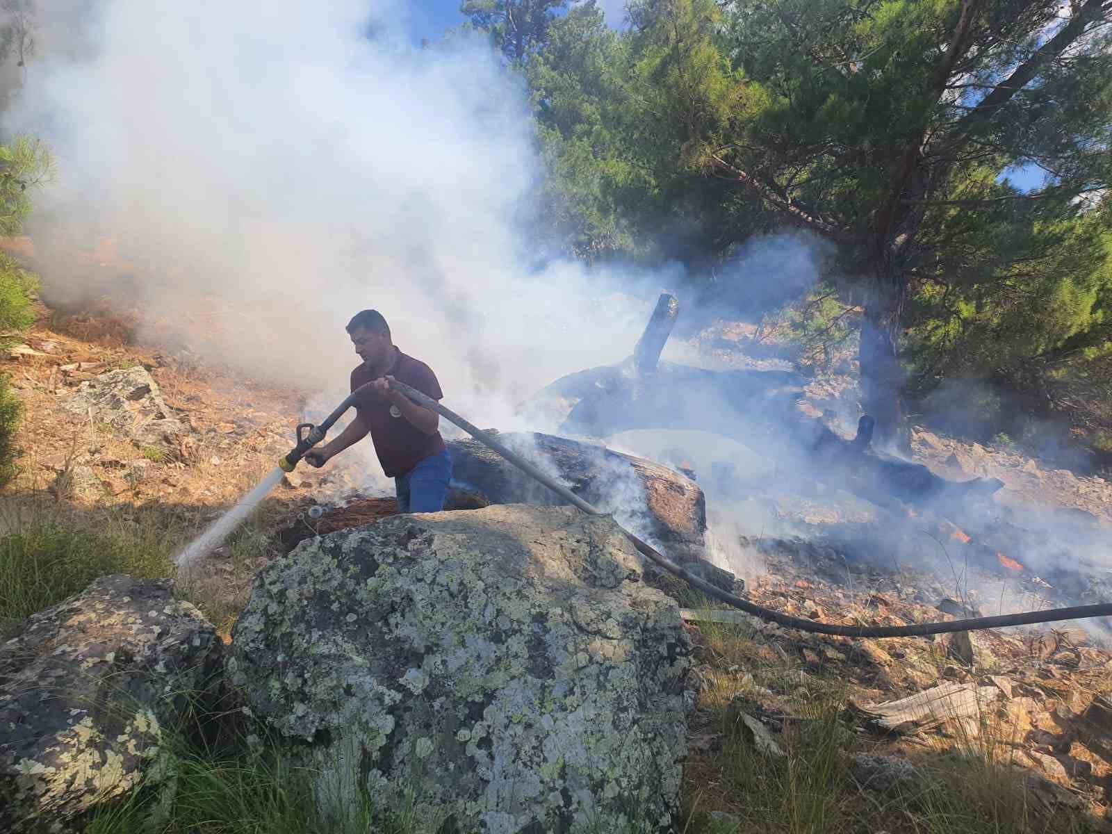 Burhaniye’deki orman yangını kısa sürede kontrol altına alındı
