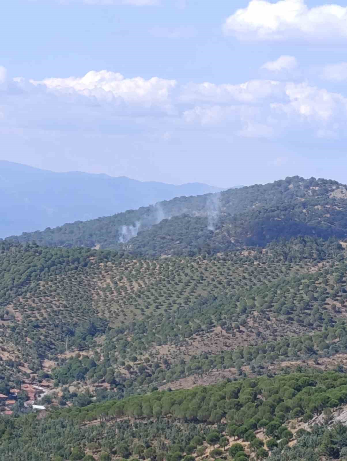 Burhaniye’deki orman yangını kısa sürede kontrol altına alındı
