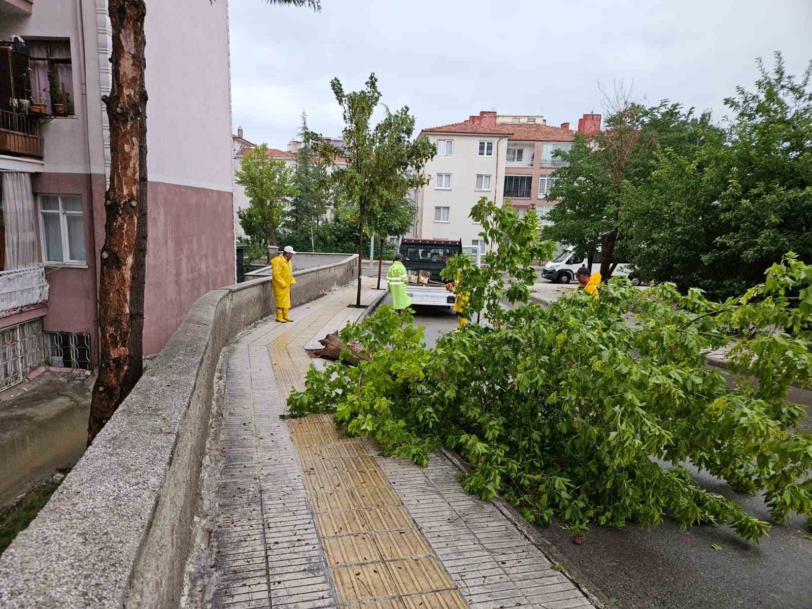 Çorum Belediyesi 62 ihbara müdahale etti
