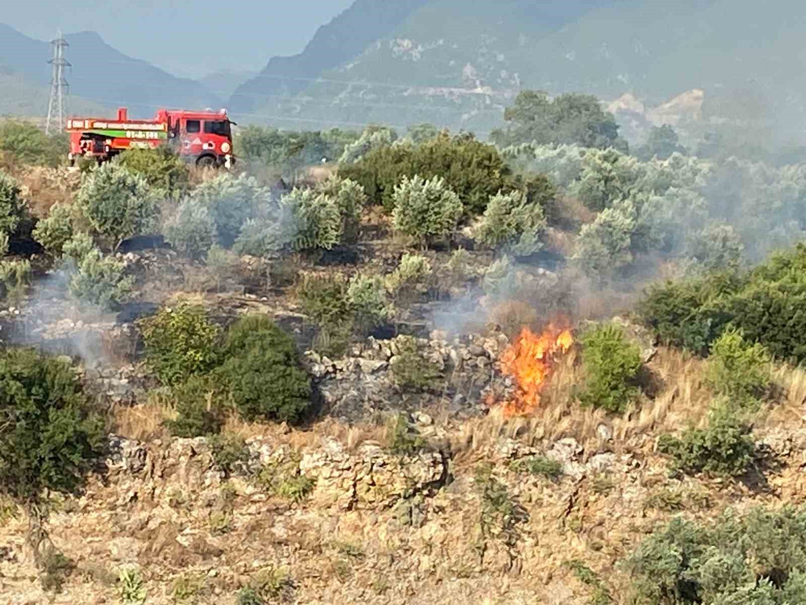 Osmaniye’de çıkan anız yangını zeytin bahçesine sıçradı
