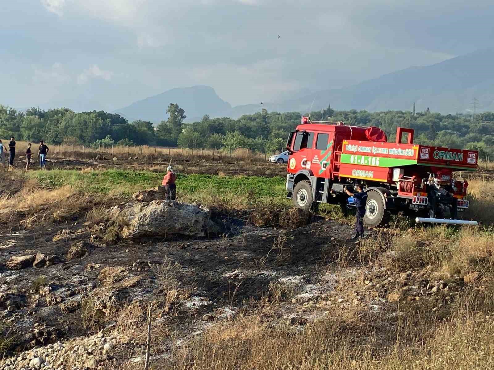 Osmaniye’de çıkan anız yangını zeytin bahçesine sıçradı
